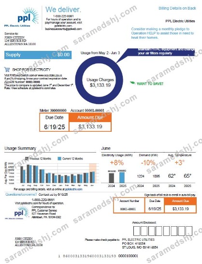 USA PPL Electric utility bill template in Word and PDF formats, version 2